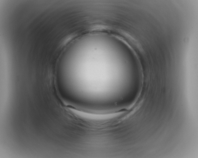 X0000114441313200910231310