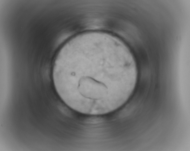 X0000114441314200910231310