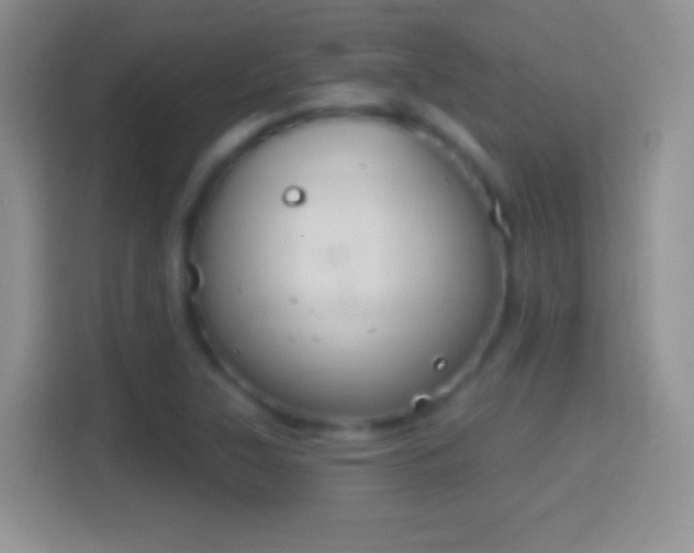 X0000114441315200910231310