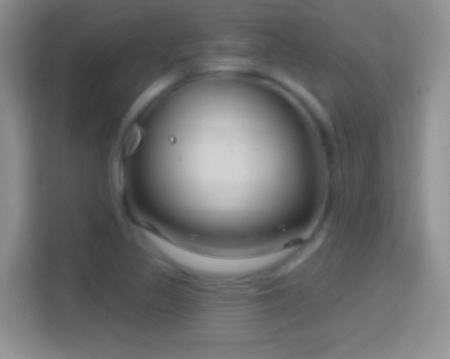 X0000114441317200910231310