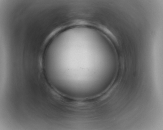 X0000114441318200910231310