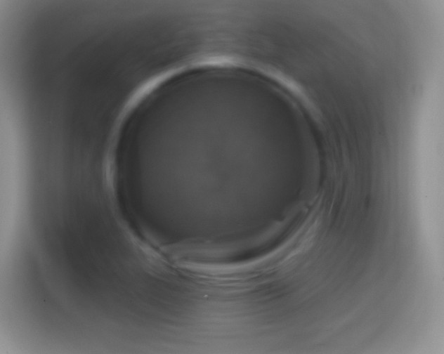 X0000114441319200910231310