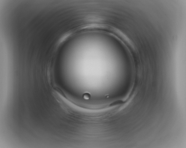 X0000114441321200910231310