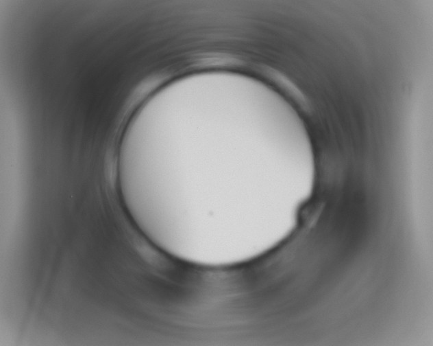 X0000114441322200910231310