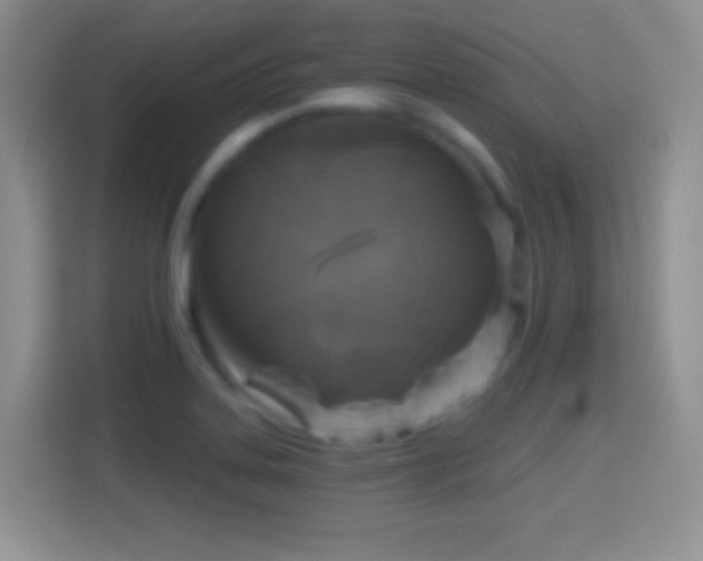 X0000114441323200910231310