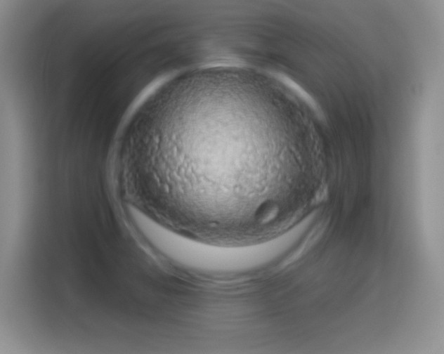 X0000114441325200910231310