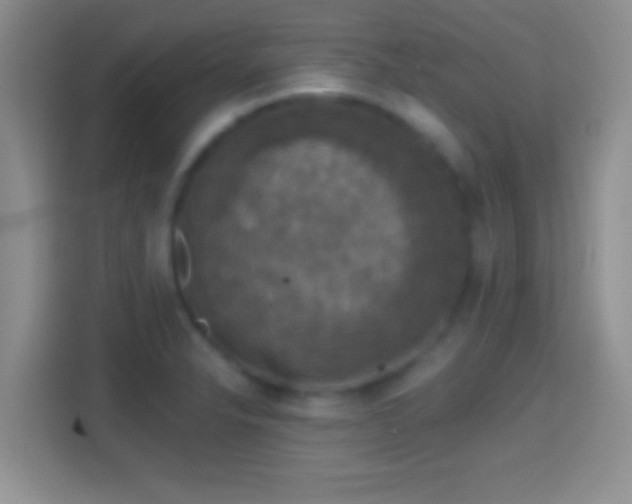 X0000114441326200910231310