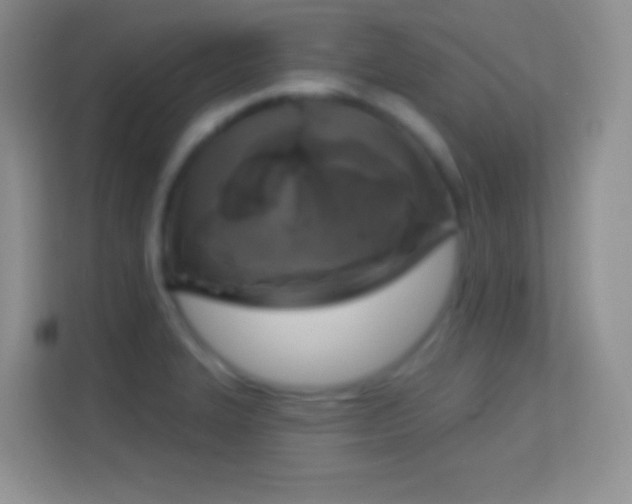 X0000114441327200910231310