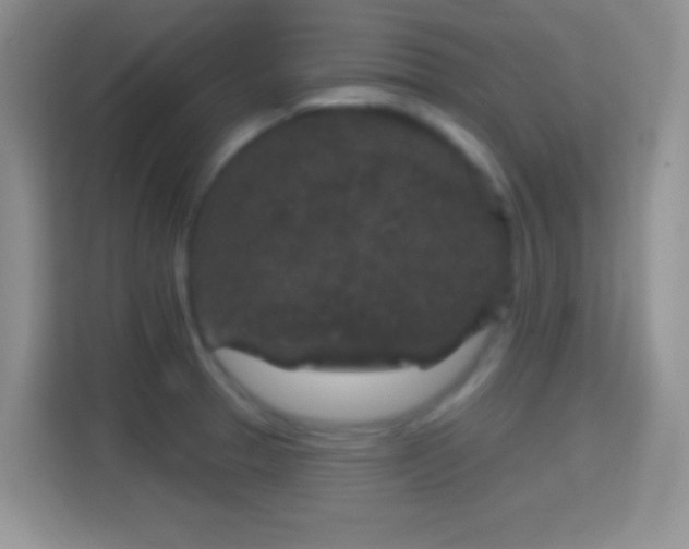 X0000114441329200910231310