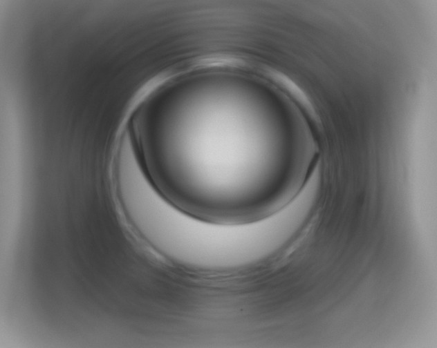 X0000114441330200910231310