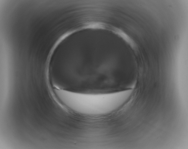 X0000114441331200910231310