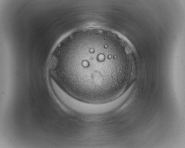 X0000114441333200910231310