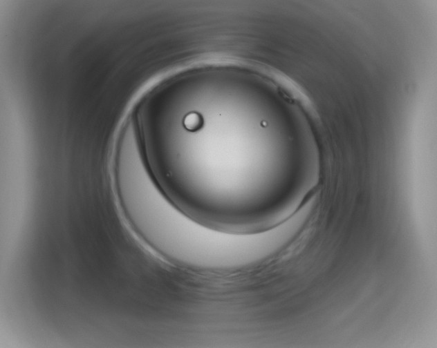 X0000114441334200910231310