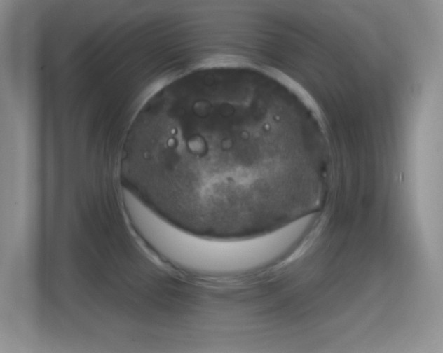 X0000114441337200910231310