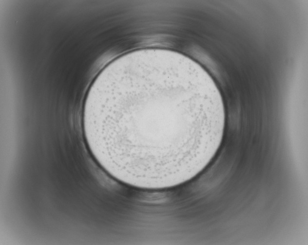 X0000114441338200910231310