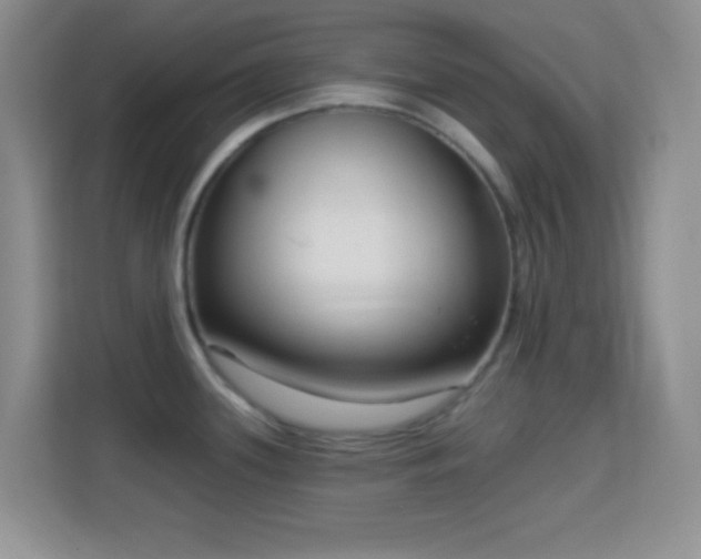 X0000114441339200910231310