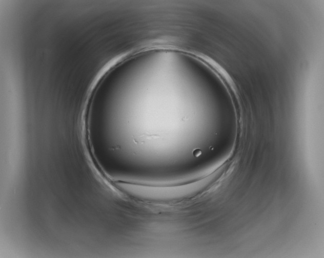 X0000114441341200910231310