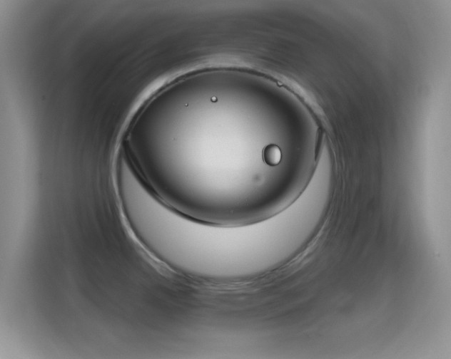 X0000114441342200910231311