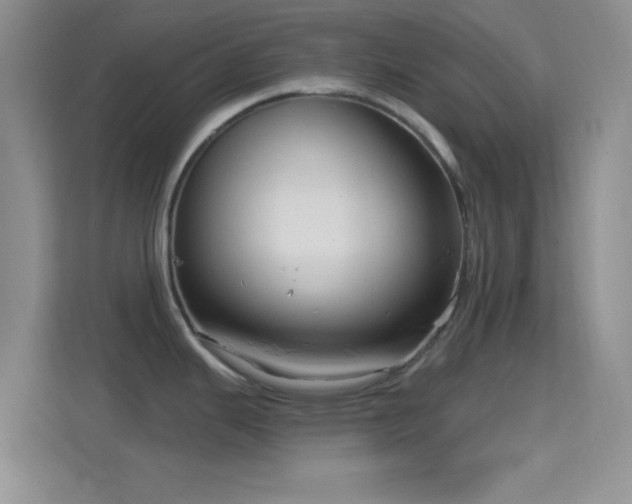 X0000114441343200910231311