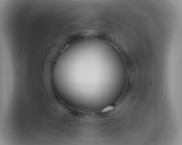 X0000114441345200910231310