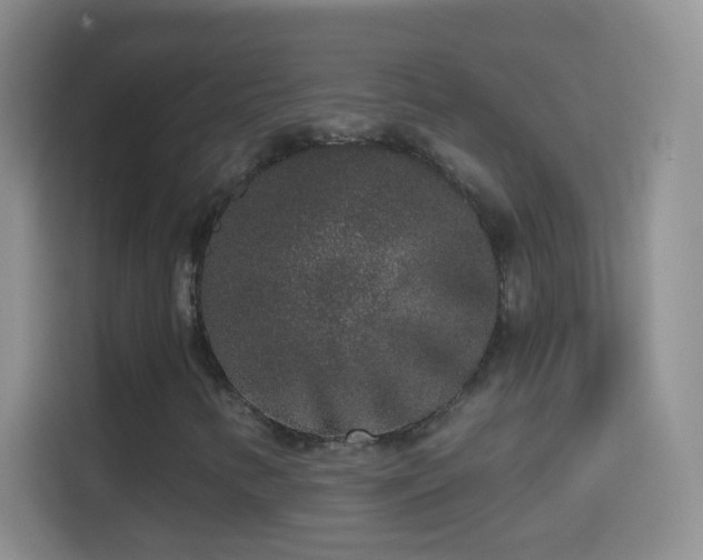 X0000114441346200910231310