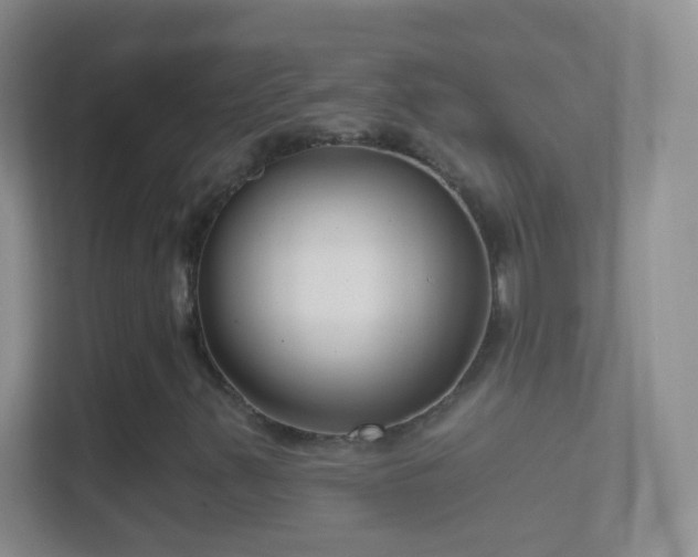 X0000114441347200910231310