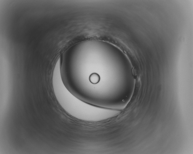 X0000114441348200910231310