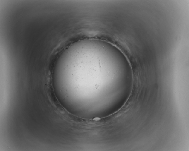 X0000114441349200910231310