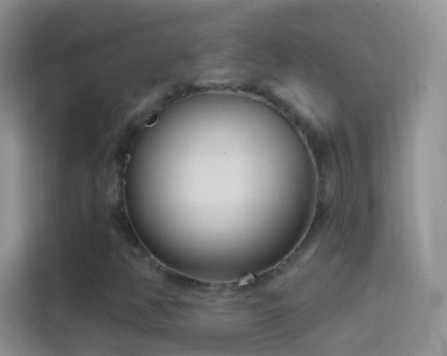 X0000114441350200910231310