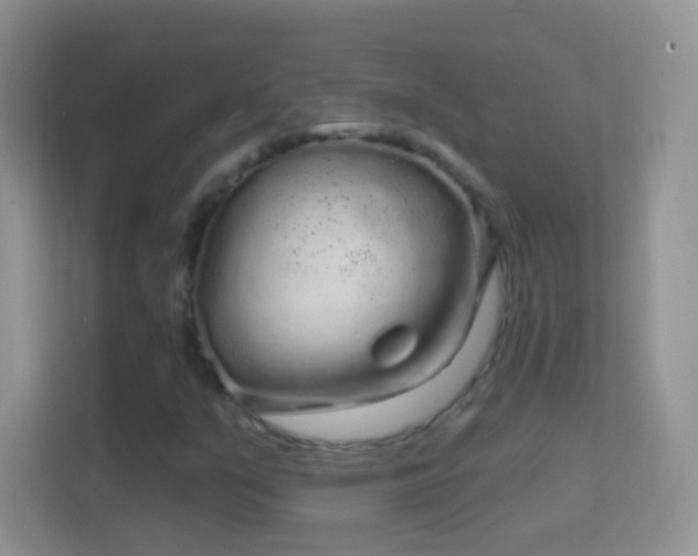 X0000114441351200910231310