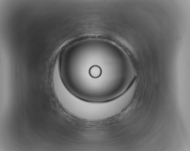 X0000114441352200910231310