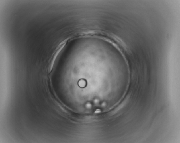 X0000114441353200910231310