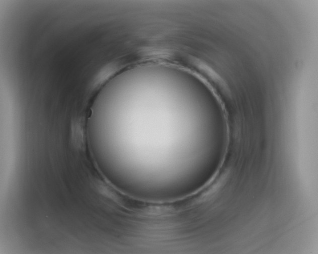 X0000114441354200910231310