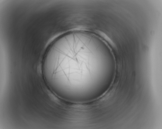 X0000114441356200910231310