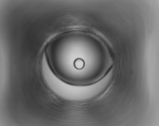 X0000114441357200910231310