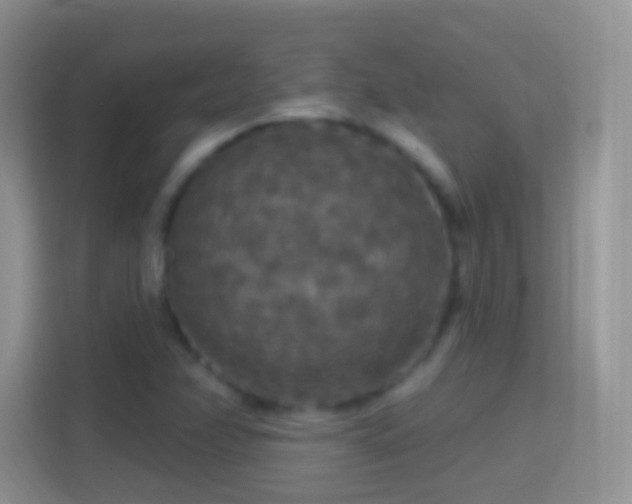 X0000114441358200910231310