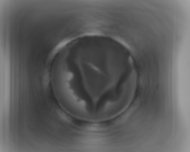 X0000114441359200910231310