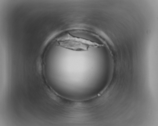 X0000114441360200910231310