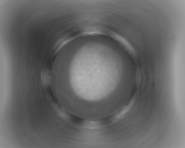 X0000114441361200910231310