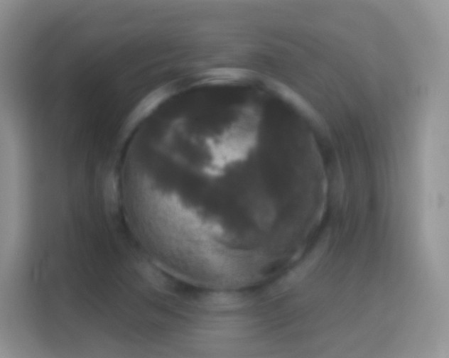 X0000114441362200910231310