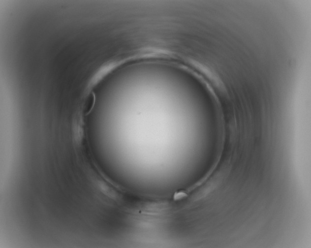 X0000114441363200910231310