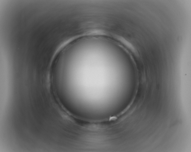 X0000114441364200910231310