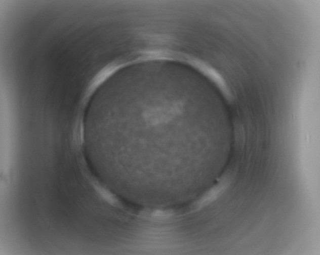 X0000114441365200910231310