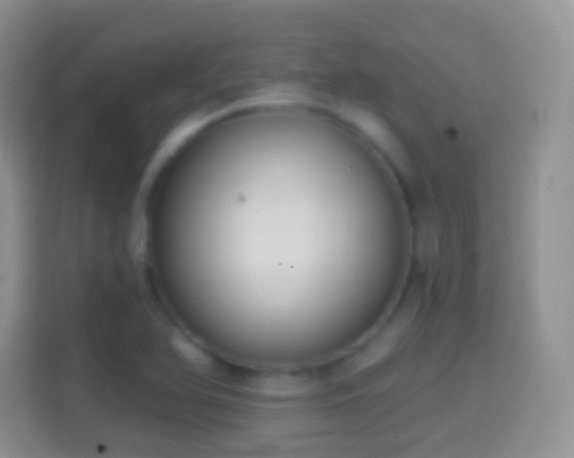 X0000114441366200910231310