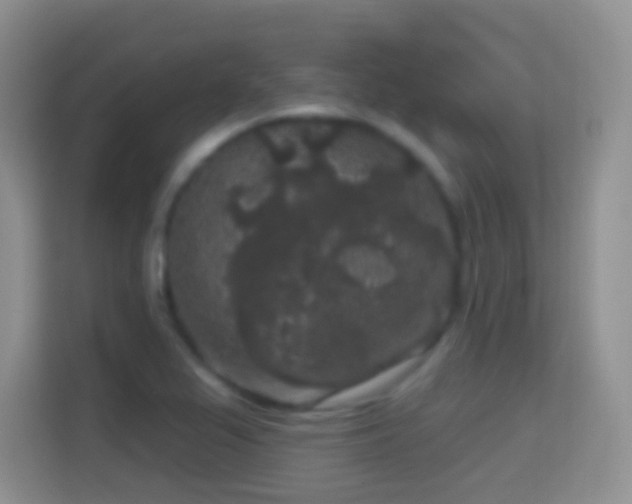 X0000114441367200910231310