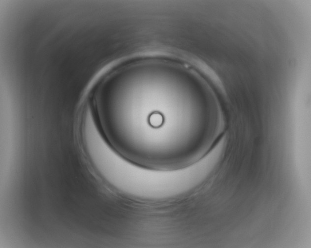 X0000114441368200910231310