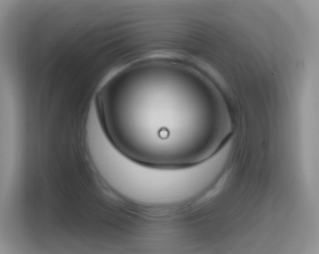 X0000114441369200910231310