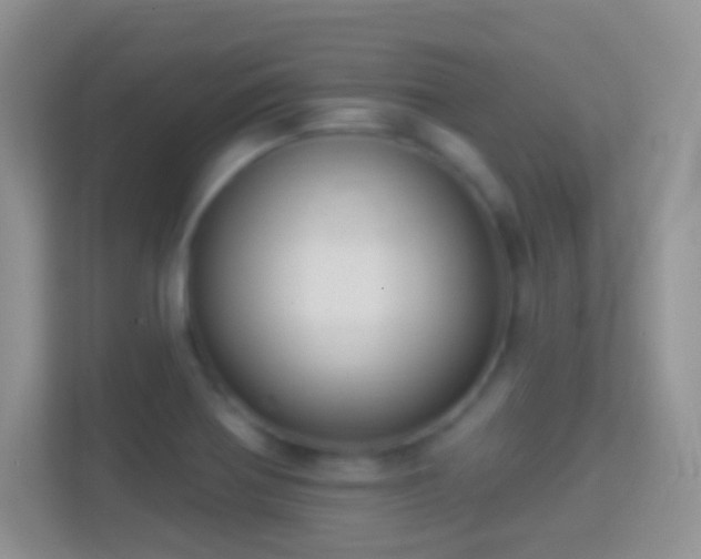 X0000114441370200910231310