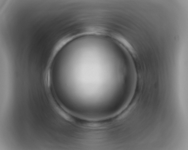 X0000114441371200910231310