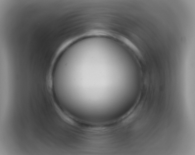 X0000114441372200910231310